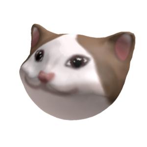 wizyus
