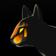 Kat-lon