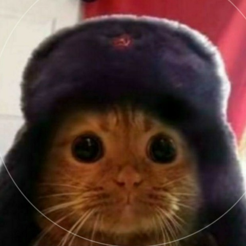 Ярослав Налетова