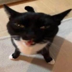 Wuu