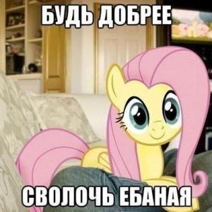 Nasvachik
